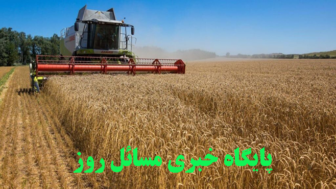 جنگ گندم در راه است
